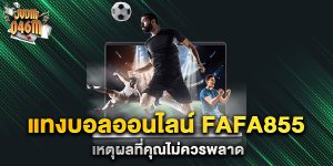 แทงบอลออนไลน์-fafa855-เหตุผลที่คุณไม่ควรพลาด